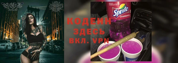 индика Лихославль