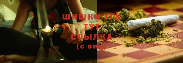 твердый Лиски