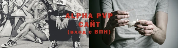 индика Лихославль