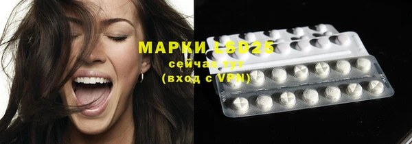 индика Лихославль