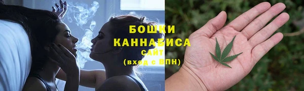spice Липки