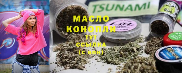 индика Лихославль