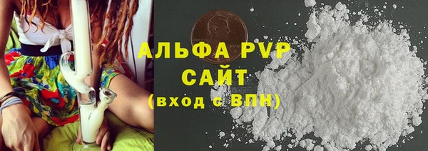 индика Верхний Тагил