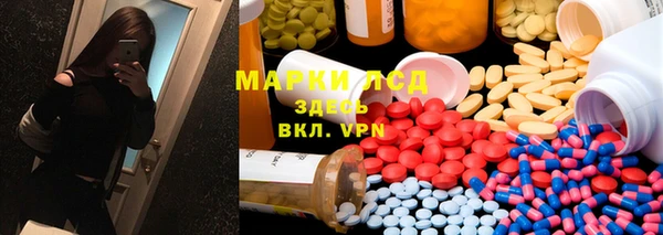 индика Лихославль